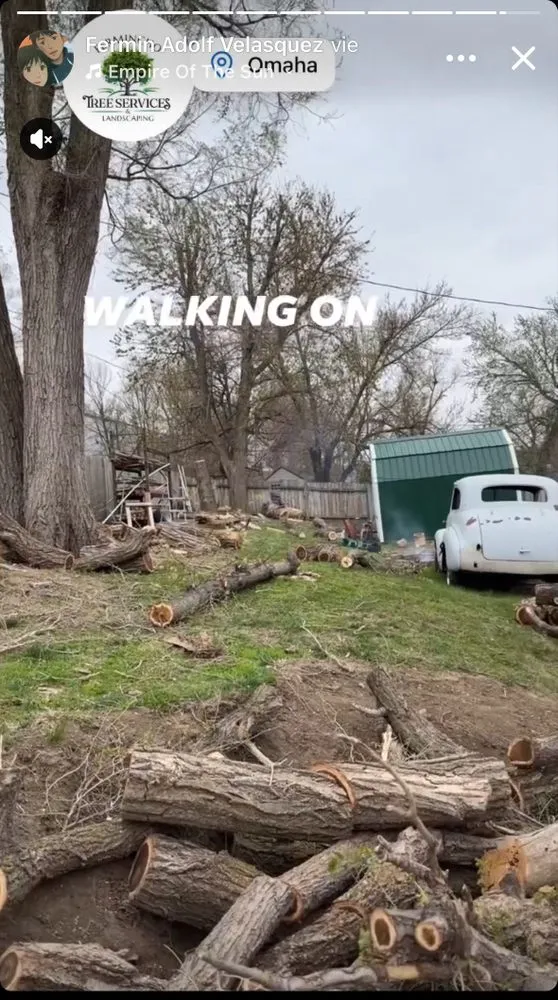 Top-rated yard maintenance for outdoor upgrades in Omaha, NE by Fermincho Tree Service and Lancaping