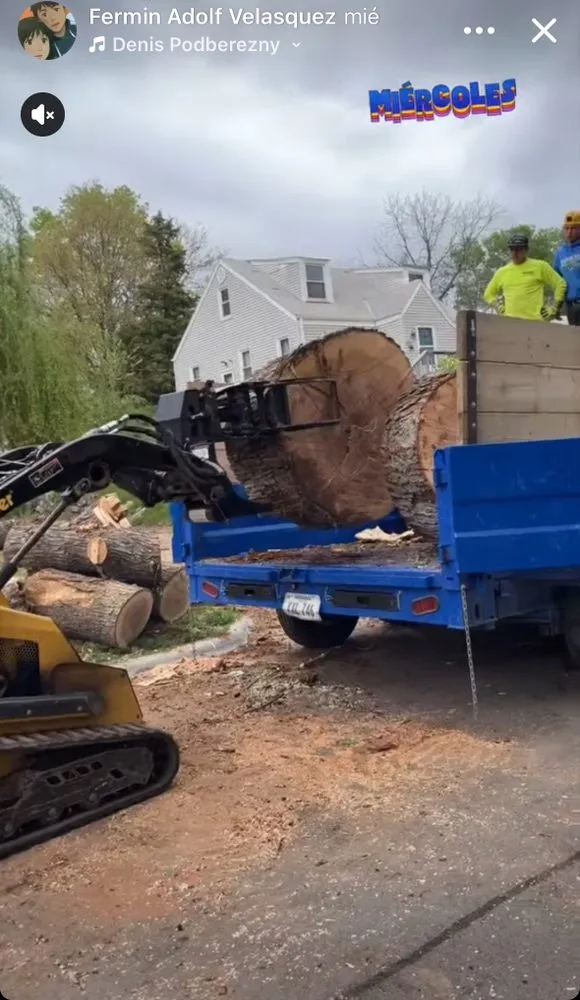 Professional yard maintenance for outdoor upgrades across Omaha, NE - Fermincho Tree Service and Lancaping