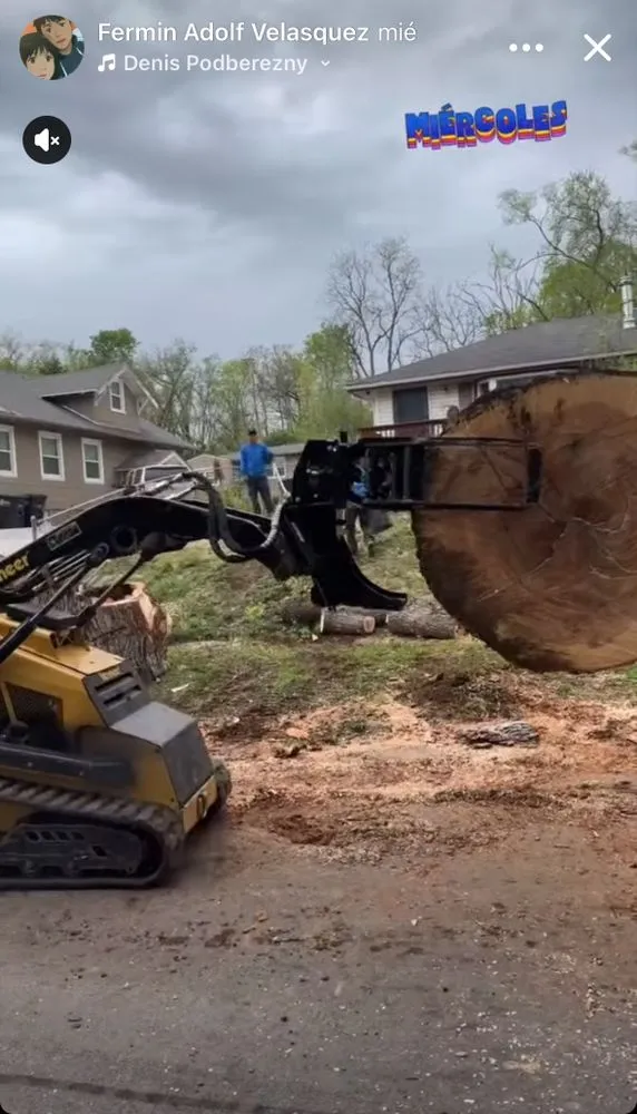 Expert landscaping services experts serving Omaha, NE - Fermincho Tree Service and Lancaping