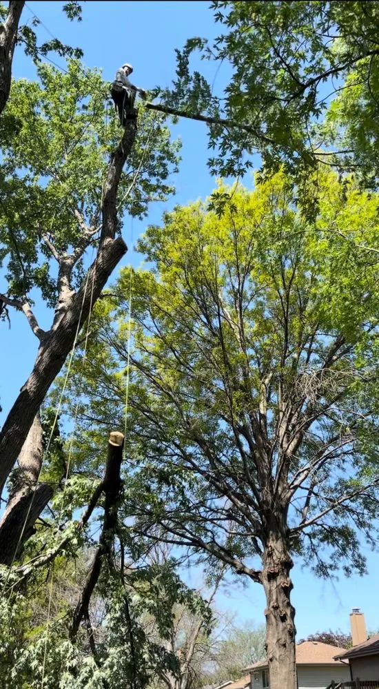 Reliable landscape installation experts serving Omaha, NE - Fermincho Tree Service and Lancaping