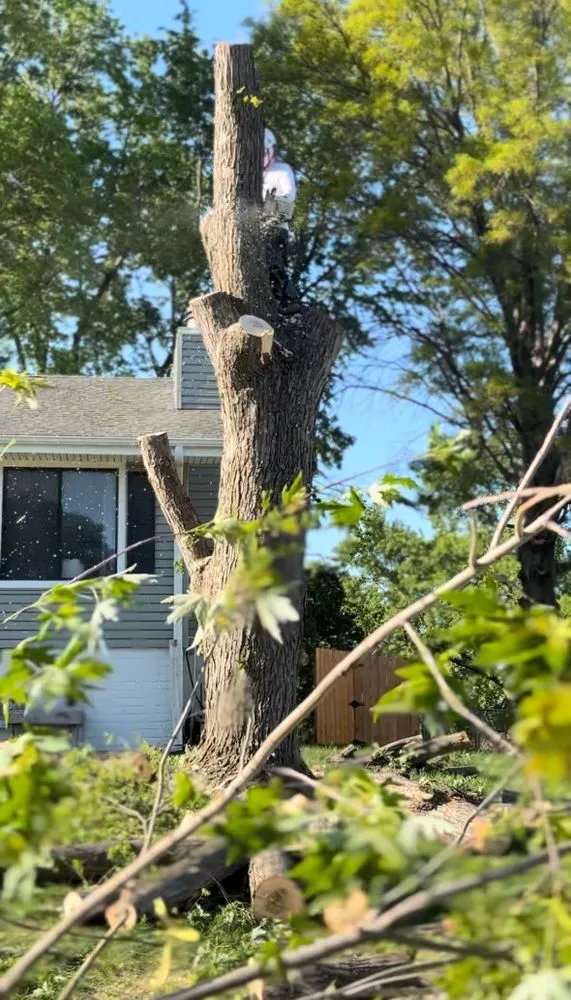 Trusted yard cleanup service for residential properties across Omaha, NE - Fermincho Tree Service and Lancaping