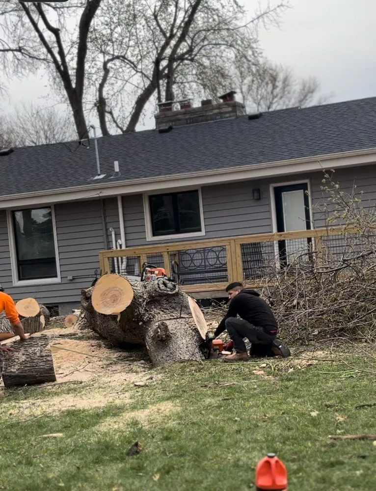 Top-rated landscape design in Omaha, NE by Fermincho Tree Service and Lancaping