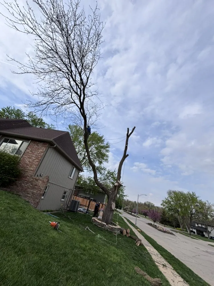 Local landscape installation for beautiful yards across Omaha, NE - Fermincho Tree Service and Lancaping