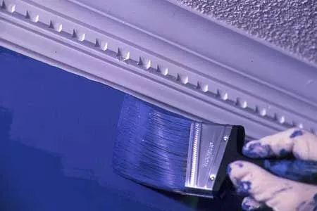 Custom yard maintenance in Miami, FL - FerminJr Painting & Landscaping