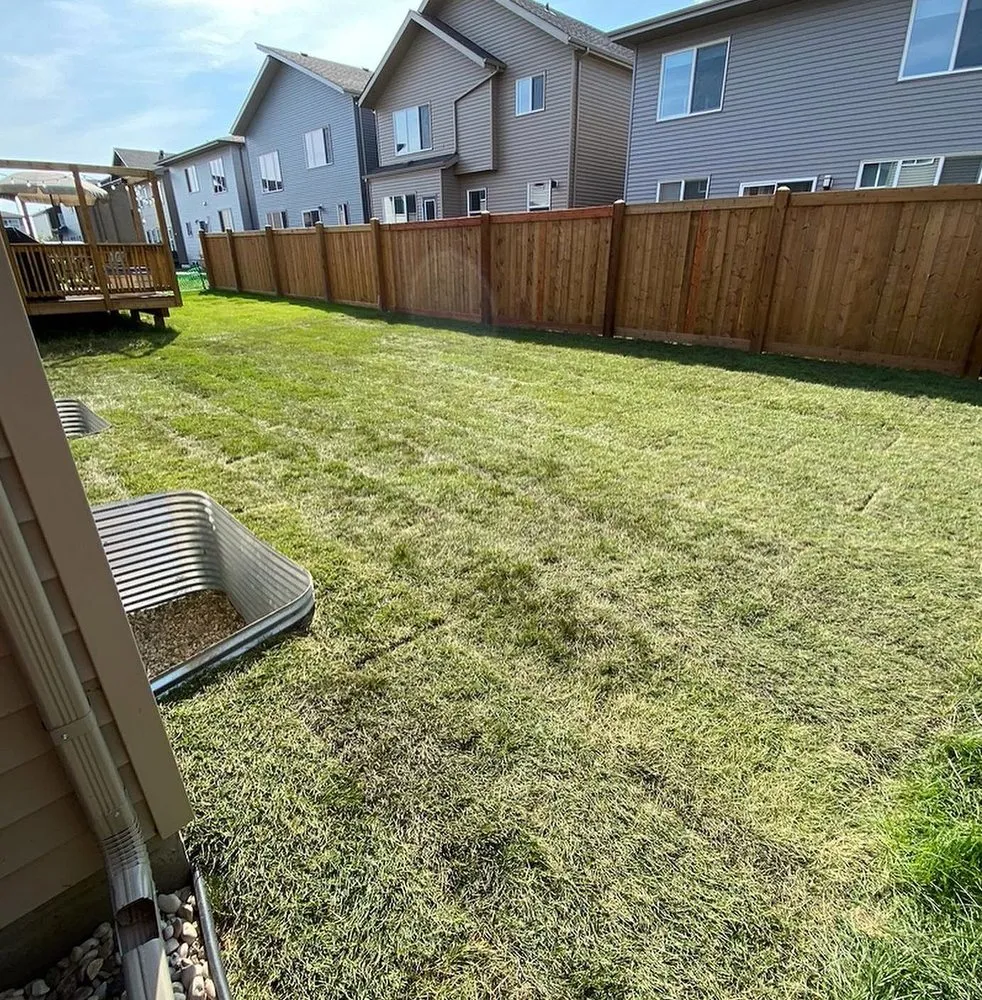 Reliable yard maintenance for outdoor upgrades across Tampa Bay, FL - Fern Cliff Lawn Care