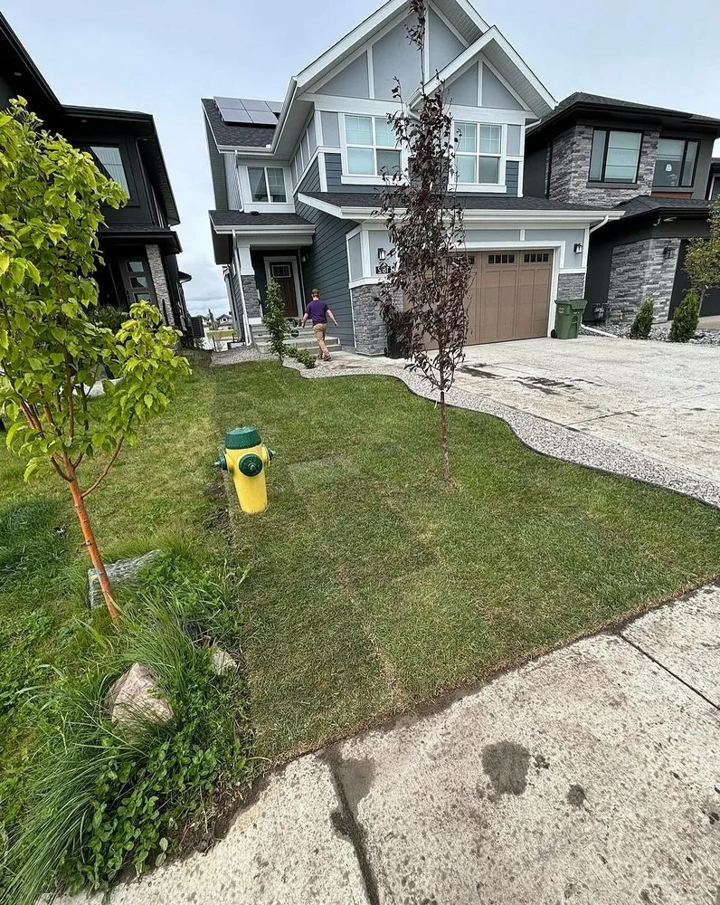 Expert landscape design experts serving Tampa Bay, FL - Fern Cliff Lawn Care