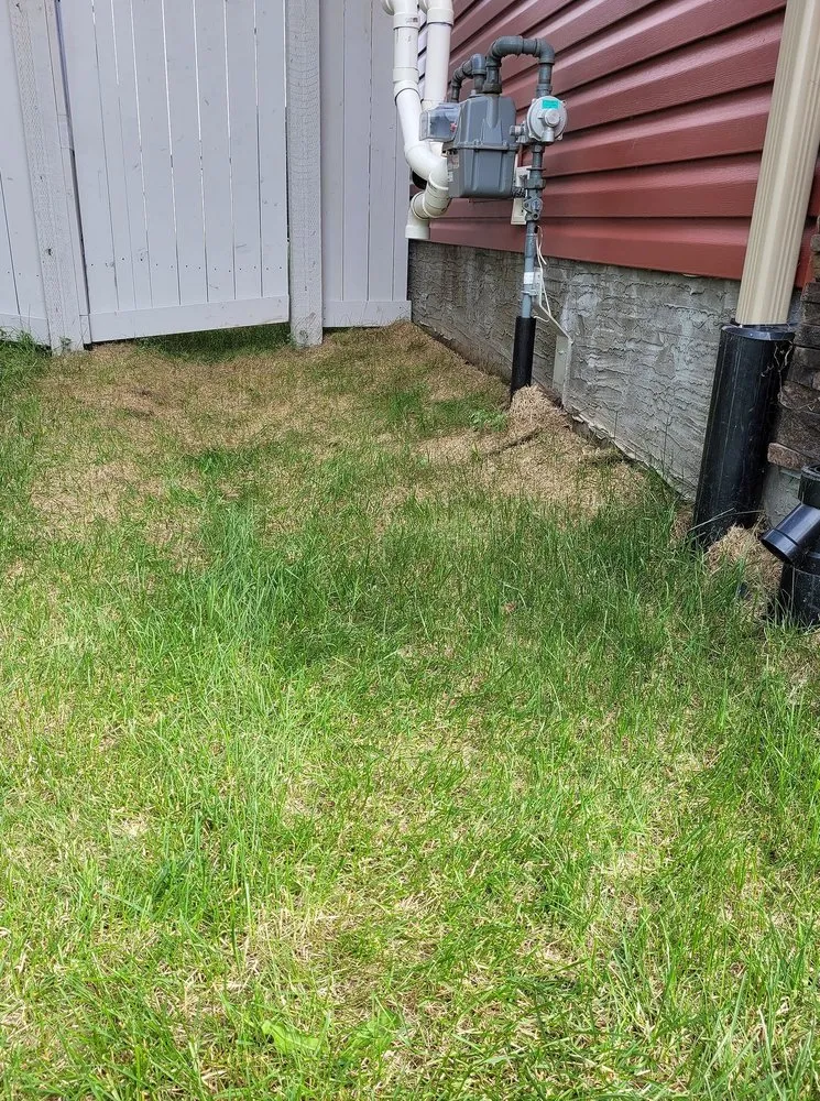 Trusted lawn mowing service for beautiful yards in Tampa Bay, FL by Fern Cliff Lawn Care