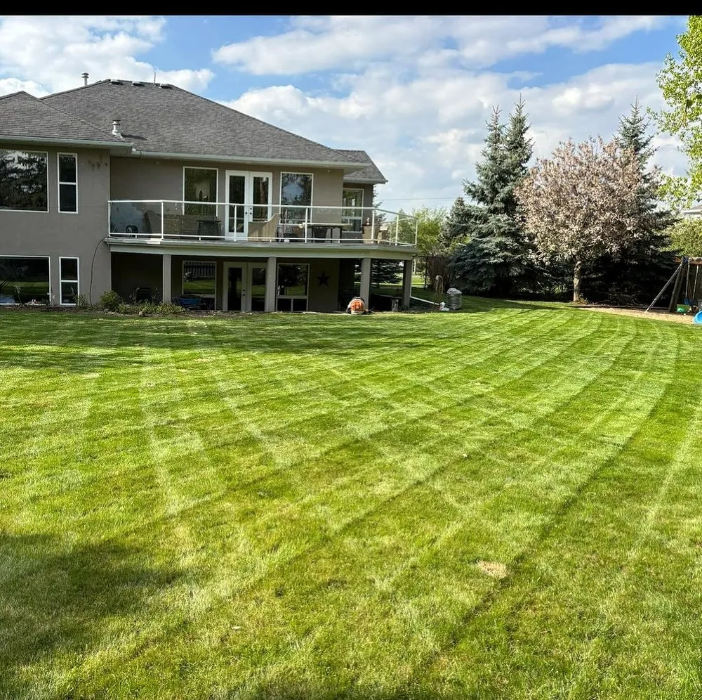 Local yard maintenance for outdoor upgrades across Tampa Bay, FL - Fern Cliff Lawn Care