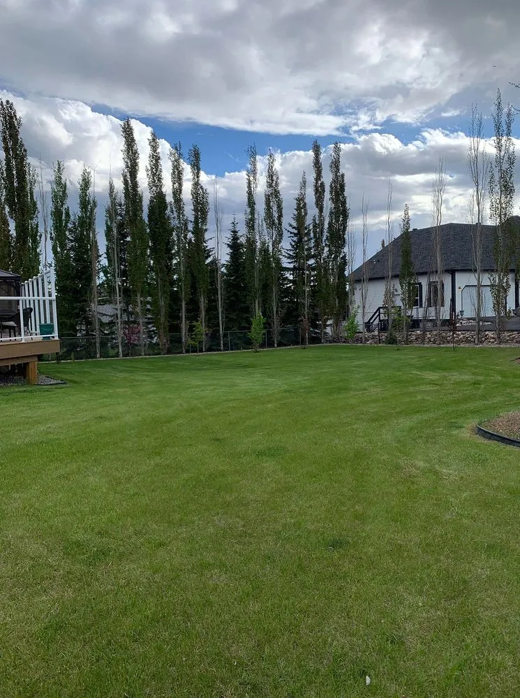 Top-rated landscape installation for beautiful yards across Tampa Bay, FL - Fern Cliff Lawn Care