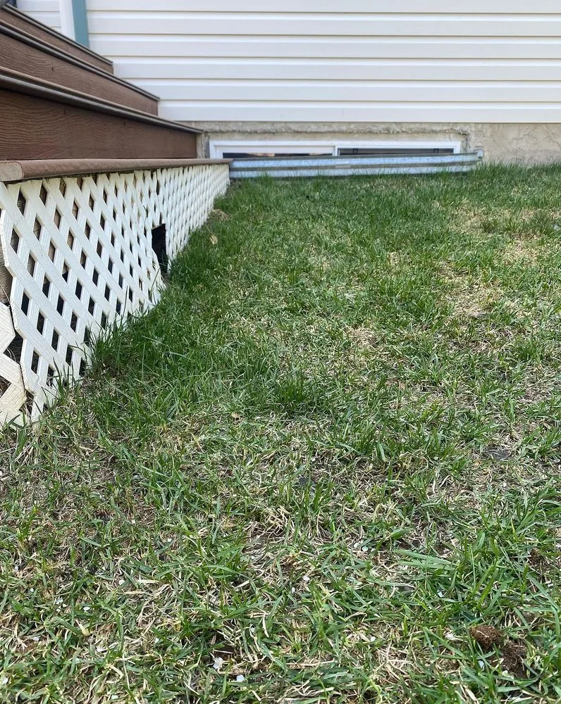 Top-rated yard maintenance experts serving Tampa Bay, FL - Fern Cliff Lawn Care