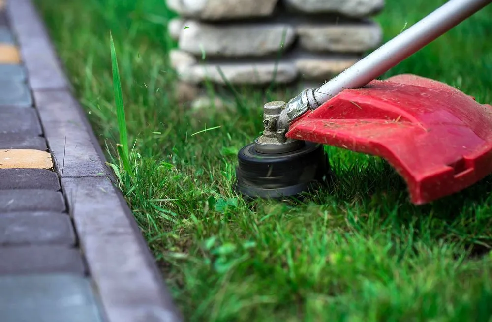 Professional outdoor landscaping in Tampa Bay, FL - Fern Cliff Lawn Care