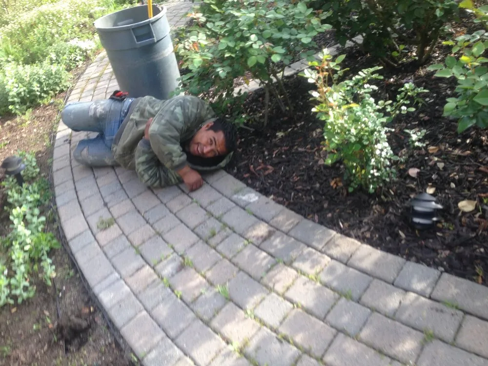 Custom lawn mowing service for residential properties in East Palo Alto, CA by Fernanado Arrellin Landscaping & Construction