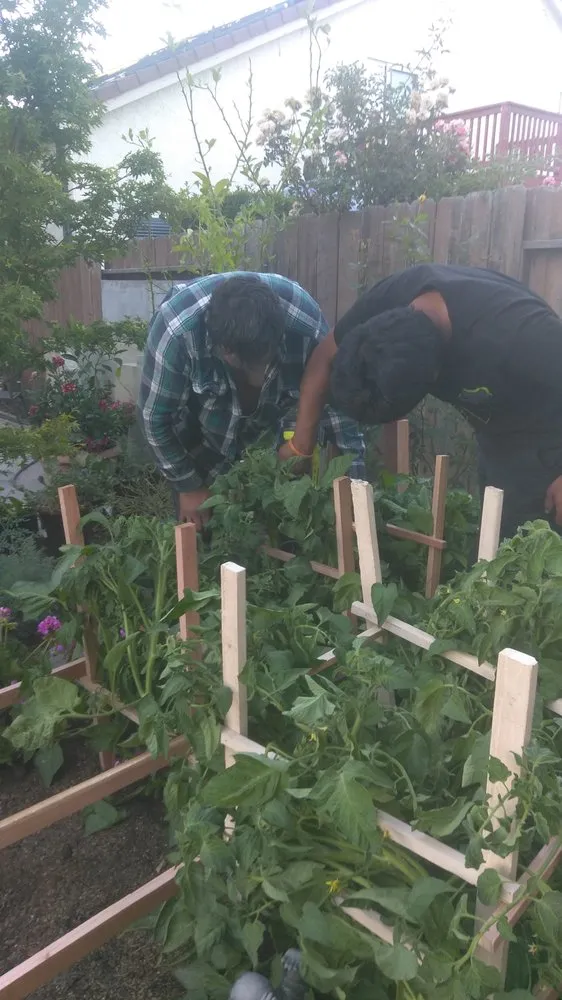 Professional landscaping services in East Palo Alto, CA by Fernanado Arrellin Landscaping & Construction