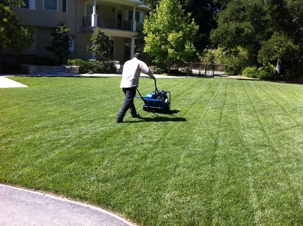 Custom yard maintenance for homes across East Palo Alto, CA - Fernanado Arrellin Landscaping & Construction