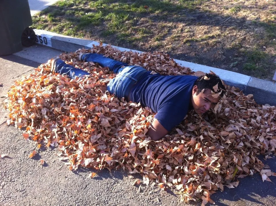 Custom landscaping services in East Palo Alto, CA - Fernanado Arrellin Landscaping & Construction