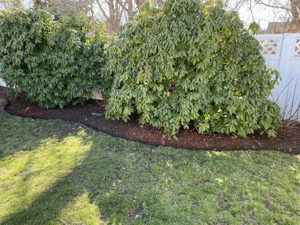 Trusted landscaping services in New Bedford, MA - Fernandes Lawn Care & More