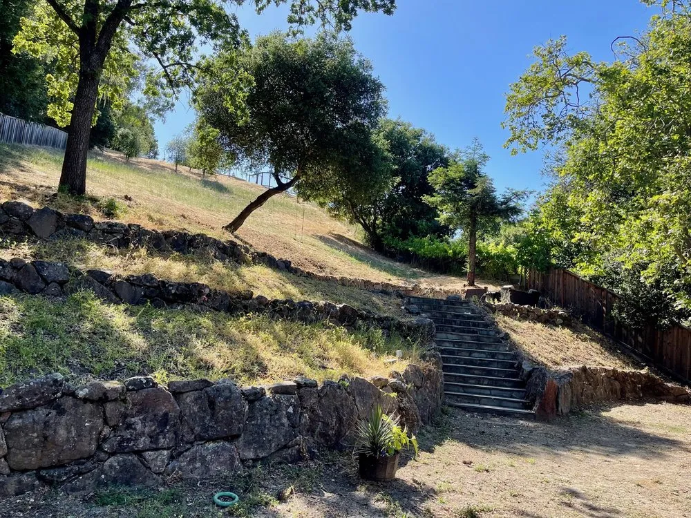 Local landscape installation in Concord, CA by Fernandez & Sons Landscaping