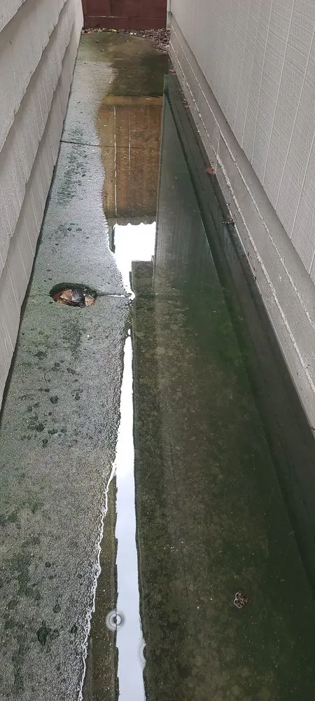 Professional landscape design in Concord, CA - Fernandez & Sons Landscaping