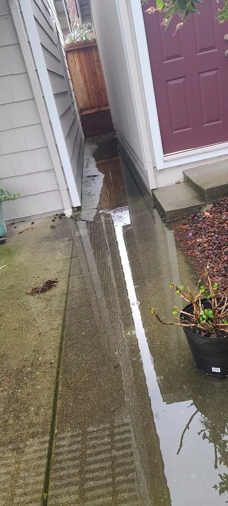 Expert lawn care service experts serving Concord, CA - Fernandez & Sons Landscaping