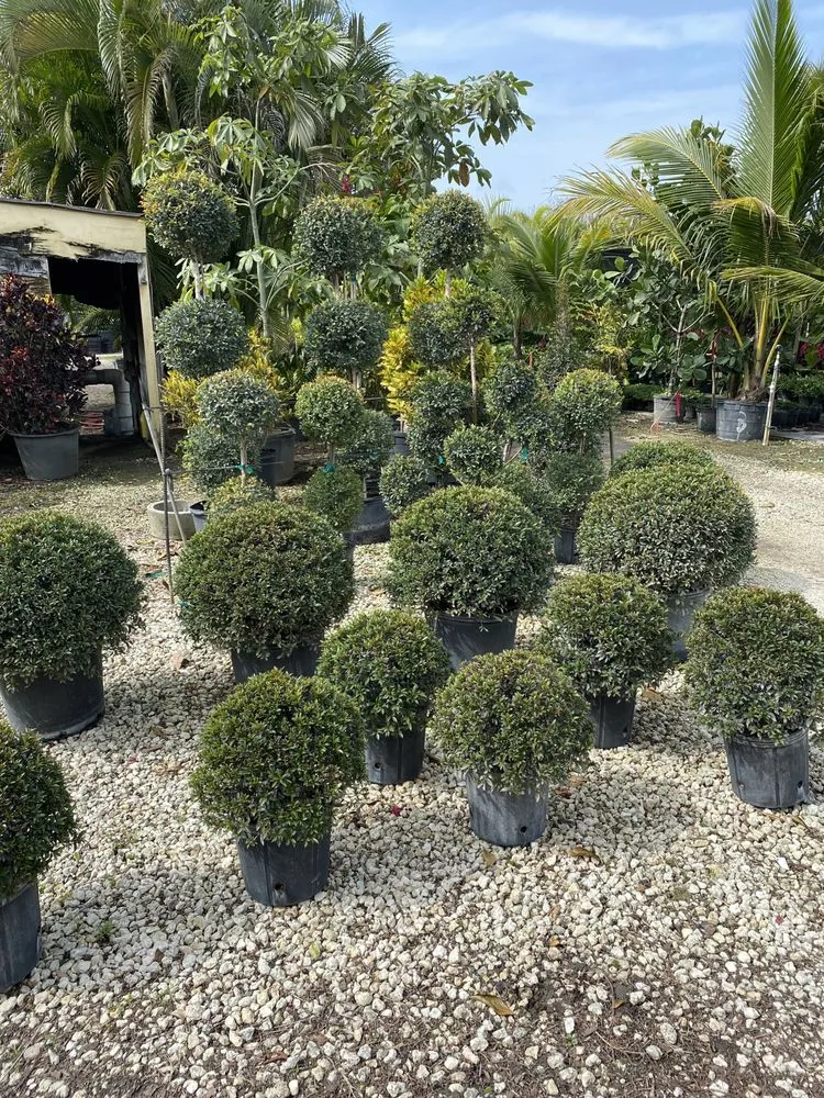 Professional lawn care service in Miami, FL - Fernandez A Landscaping & Nursery