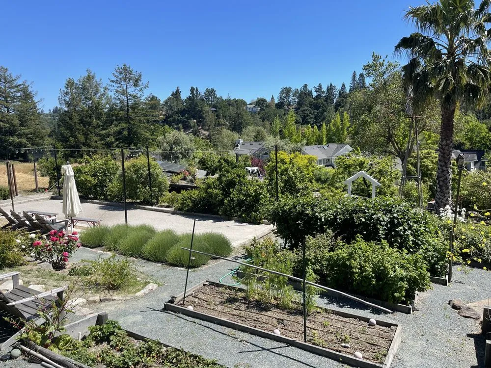 Trusted landscape design in Pittsburg, CA by Fernandez Bros