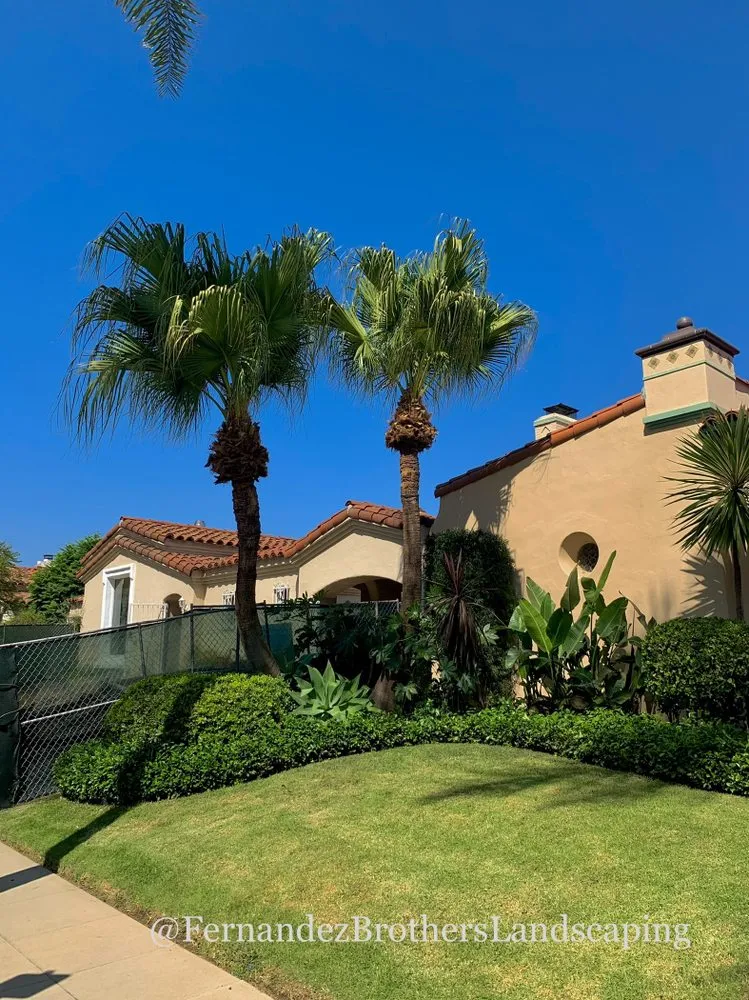 Expert yard cleanup service with custom design in Los Angeles, CA by Fernandez Brothers Landscaping