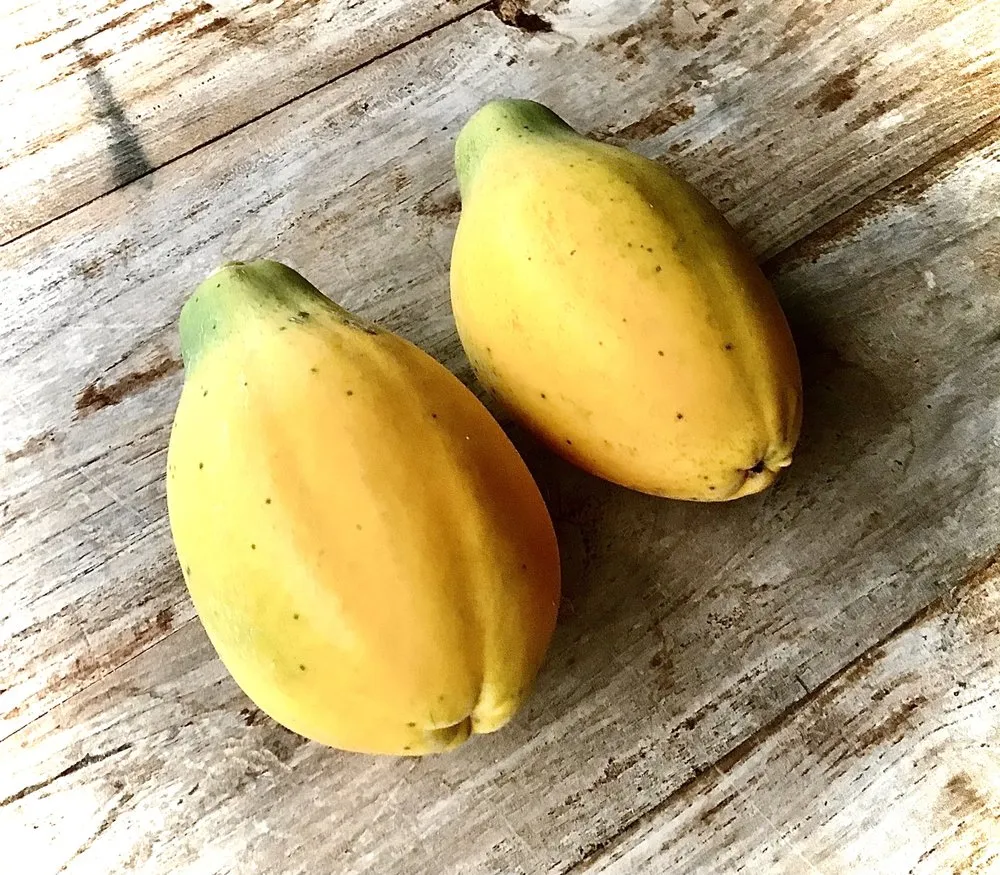 Professional yard maintenance in Makawao, HI by Fernandez Family Farms