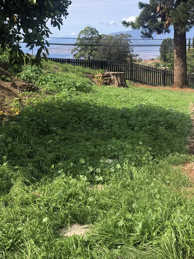 Top-rated yard maintenance experts serving Makawao, HI - Fernandez Family Farms