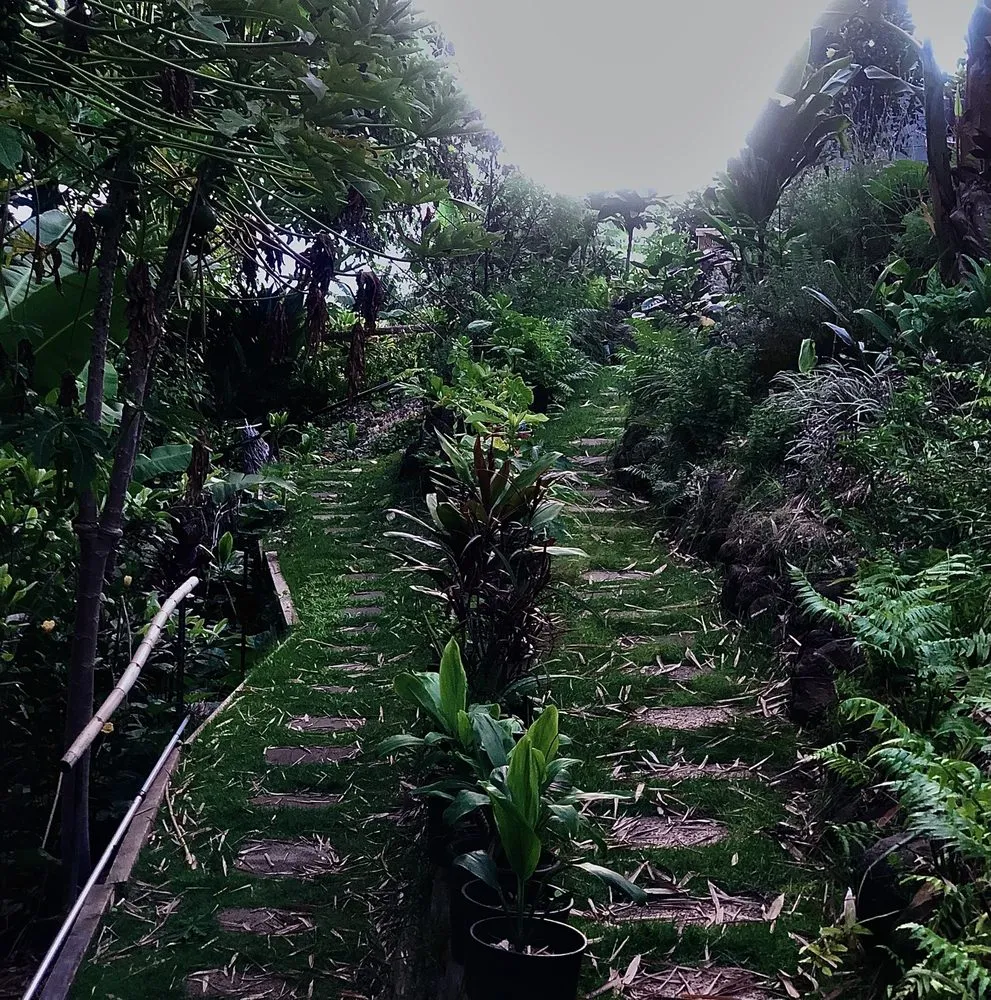 Custom landscaping services in Makawao, HI - Fernandez Family Farms