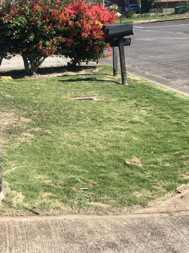 Professional yard maintenance experts serving Makawao, HI - Fernandez Family Farms
