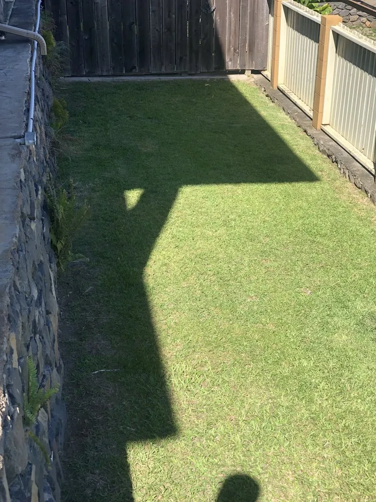 Trusted lawn care service for year-round maintenance across Makawao, HI - Fernandez Family Farms