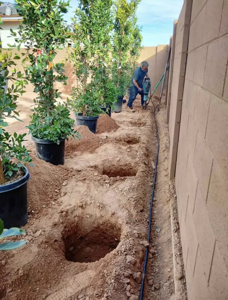 Top-rated landscape installation in Phoenix, AZ by Fernandez Irrigation and Junk Removal