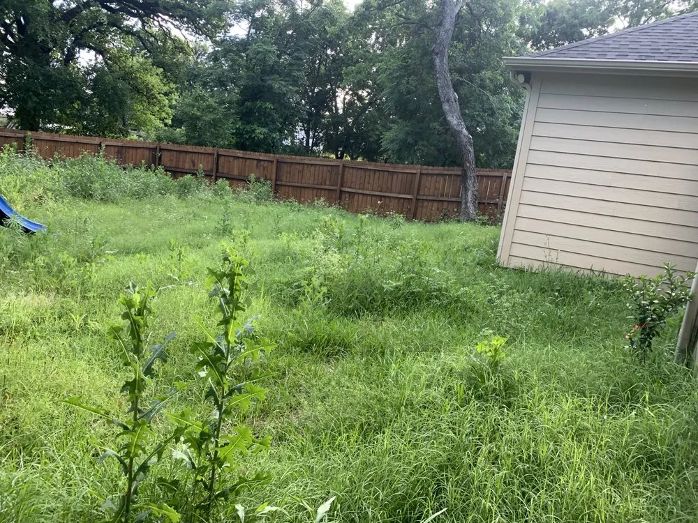 Expert yard cleanup service experts serving Dallas, TX - Fernandez Landscape And Odd Job