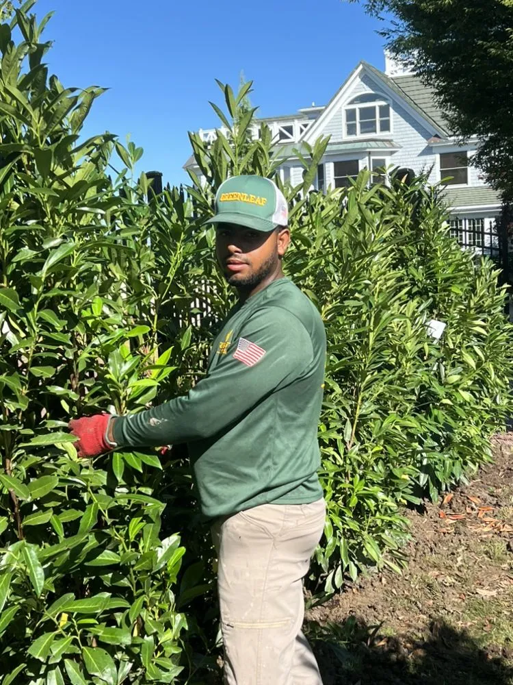 Reliable landscaping services in Bay Shore, NY by Fernandez Landscape