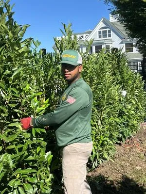 Fernandez Landscape Logo