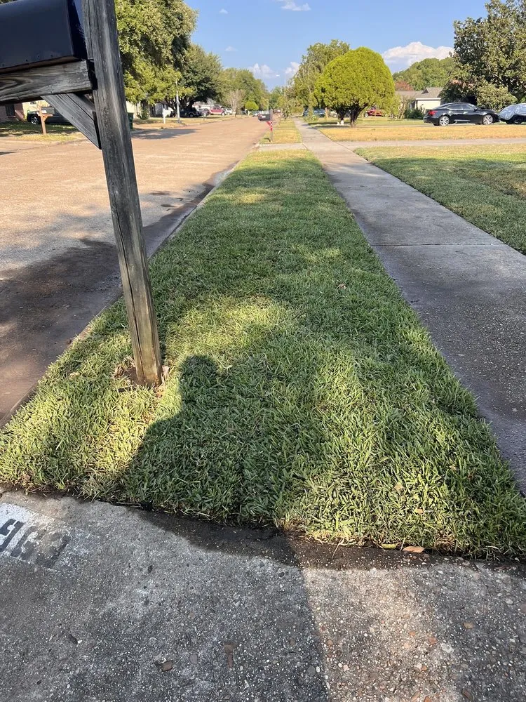 Top-rated lawn mowing service for outdoor upgrades across Houston, TX - Fernandez Landscape Contractors Services