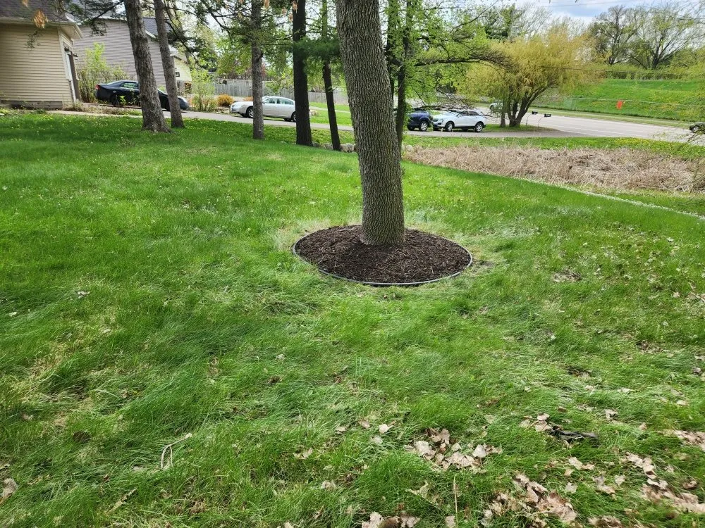 Reliable landscaping services experts serving Saint Paul, MN - Fernandez Landscaping