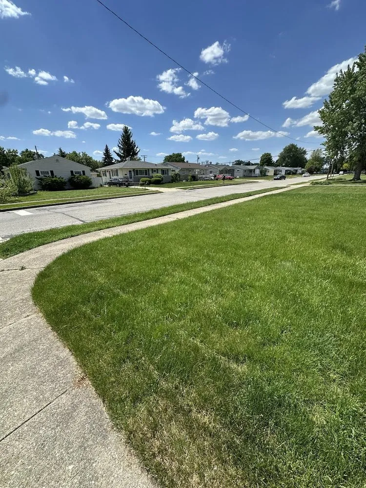 Affordable yard cleanup service experts serving South Bend, IN - Fernandez Landscaping