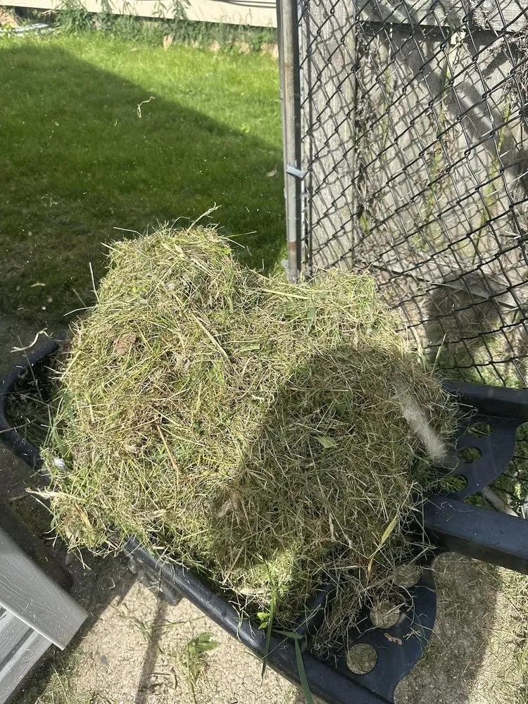 Custom garden landscaping experts serving South Bend, IN - Fernandez Landscaping