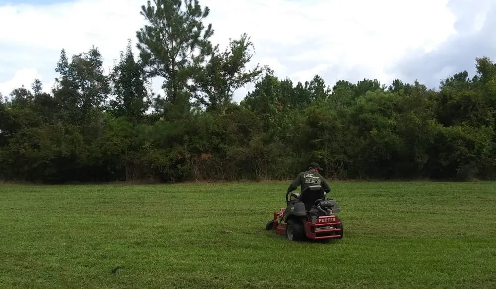 Trusted landscaping services in Summerville, SC by Fernandez Landscaping