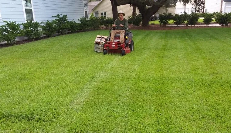 Top-rated garden landscaping in Summerville, SC - Fernandez Landscaping