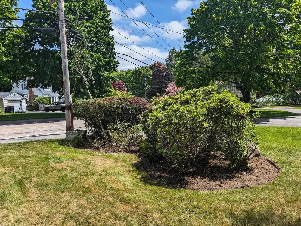 Affordable landscape installation in Waltham, MA - Fernandez Landscaping