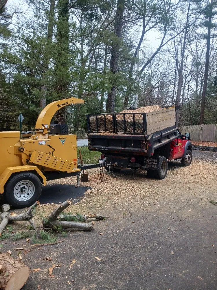 Affordable yard cleanup service experts serving Waltham, MA - Fernandez Landscaping