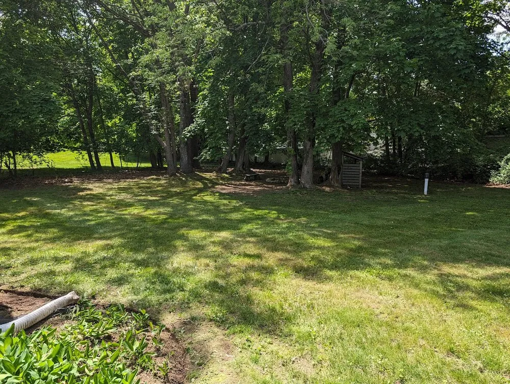 Professional yard cleanup service with custom design in Waltham, MA by Fernandez Landscaping