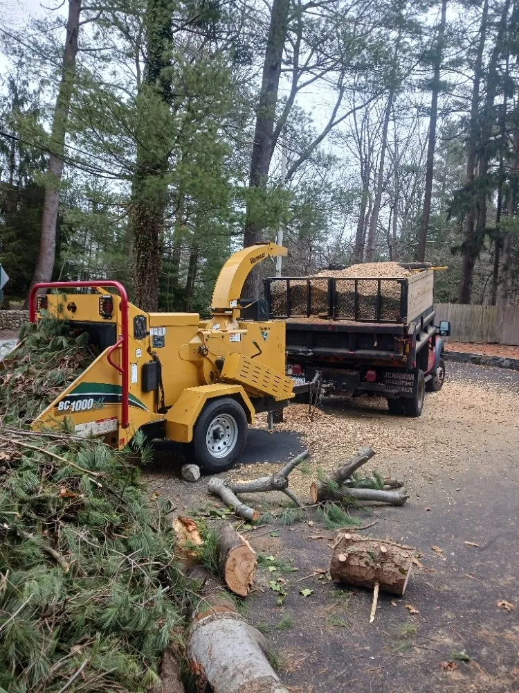 Professional yard maintenance experts serving Waltham, MA - Fernandez Landscaping