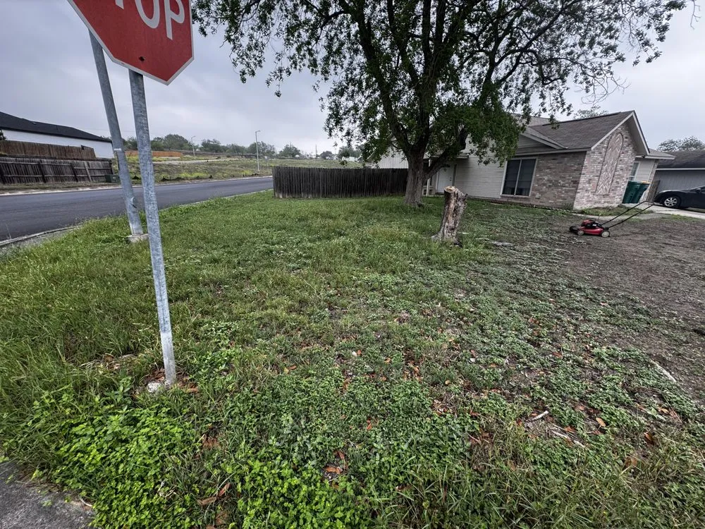 Local landscaping services in San Antonio, TX - Fernandez Lawncare