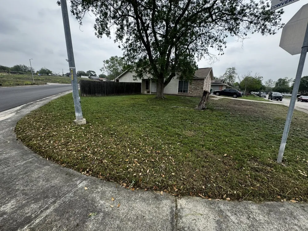 Affordable residential landscaping for outdoor upgrades across San Antonio, TX - Fernandez Lawncare