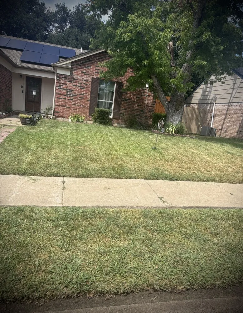 Top-rated landscaping services in Arlington, TX - Fernando