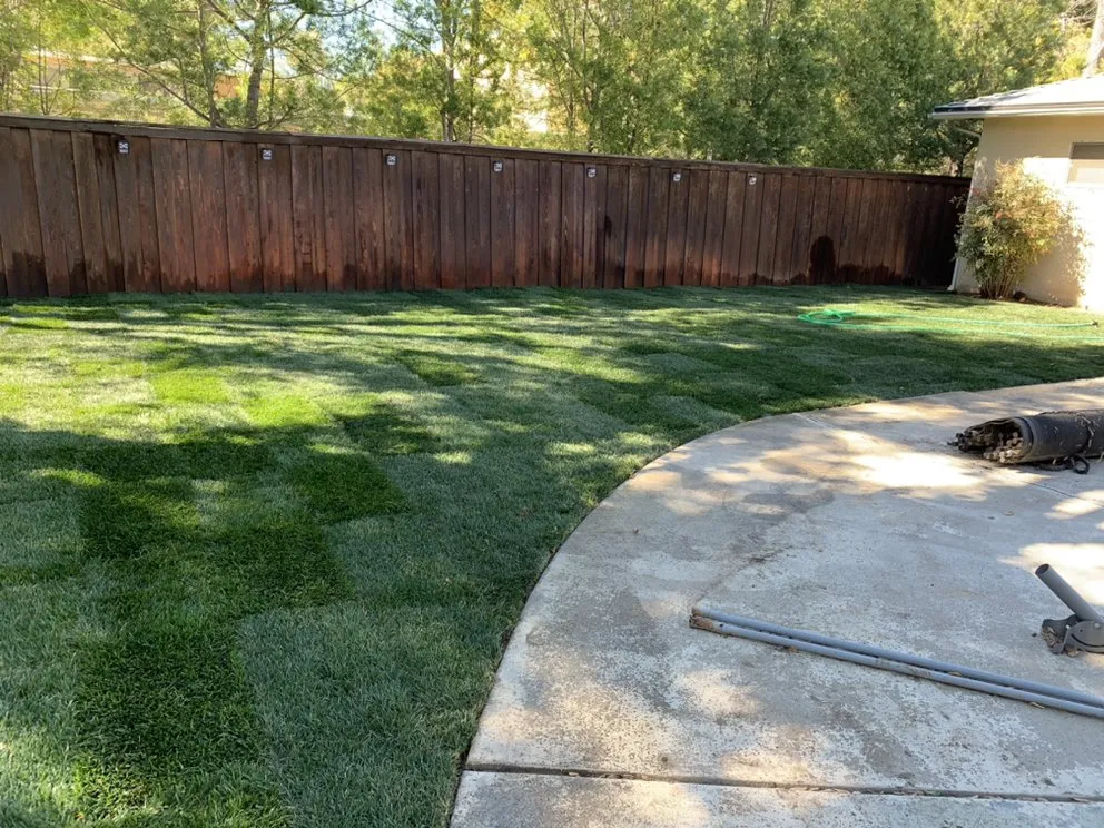 Local landscape design in Los Angeles, CA by Fernando Avilas Concrete & Landscape