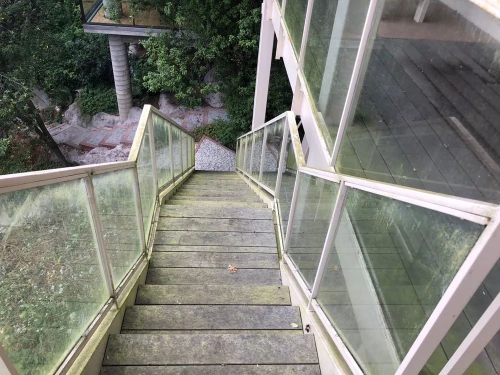 Expert yard maintenance in Burlingame, CA by Fernando Cuevas Landscaping